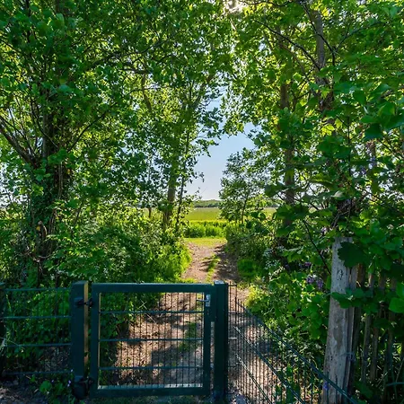 In Netherlands Near Sandy Sint Maartensvlotbrug