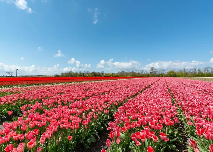 In Netherlands Near Sandy Dom wakacyjny